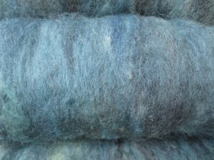 close up of drum carded naturally dyed fleece blueish green on variegated grey