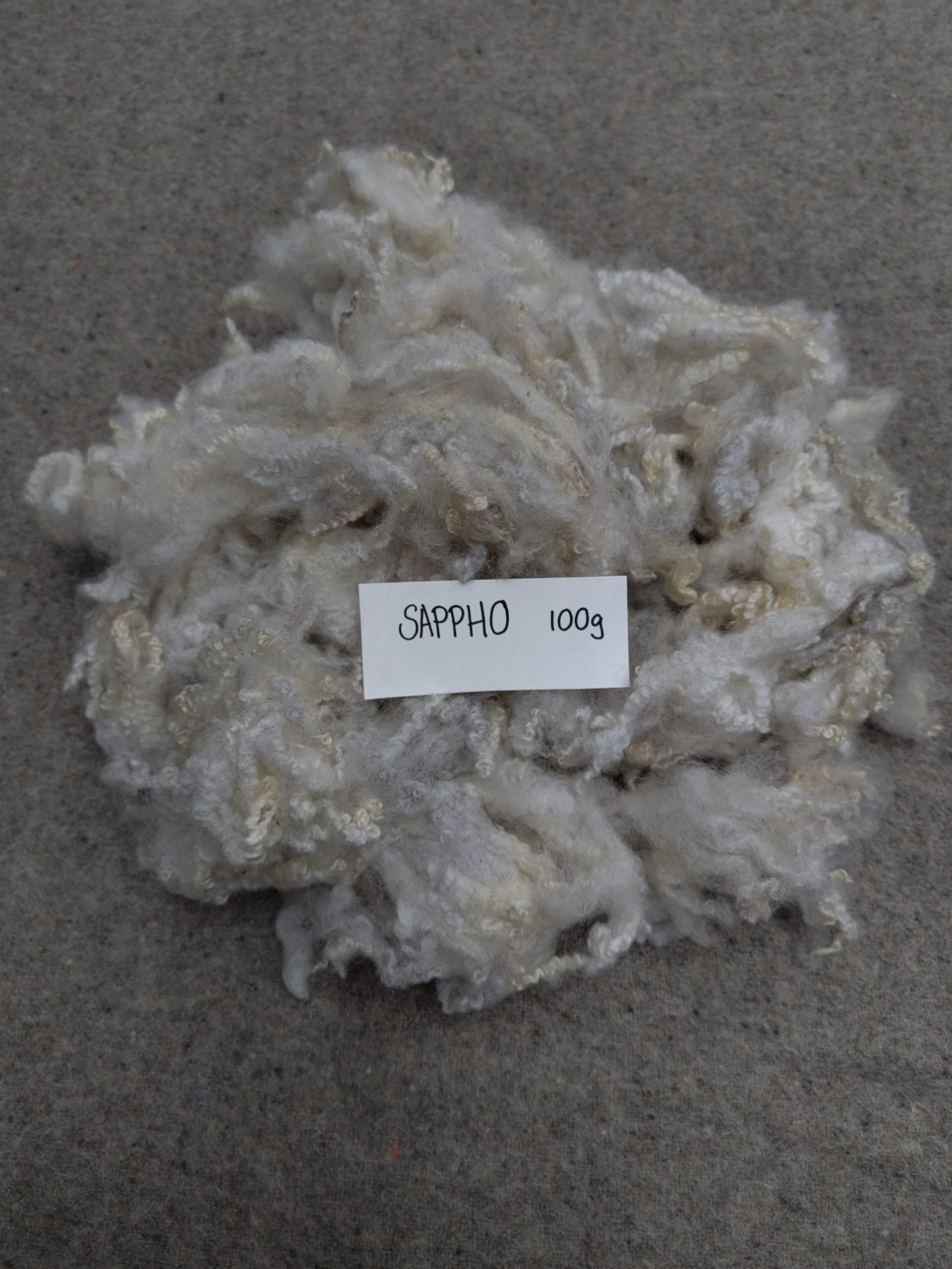Shetland x Gotland fleece for hand spinners - washed locks - Image 2