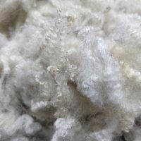 Shetland x Gotland fleece for hand spinners - washed locks