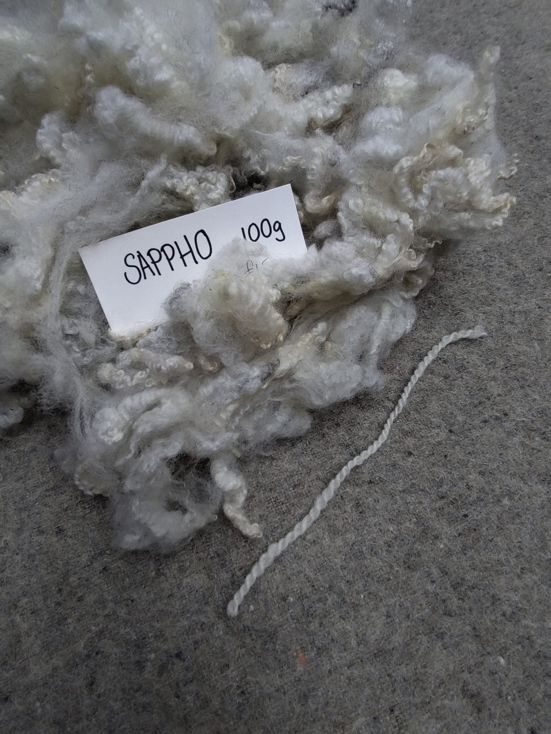 Shetland x Gotland fleece for hand spinners - washed locks - Image 3
