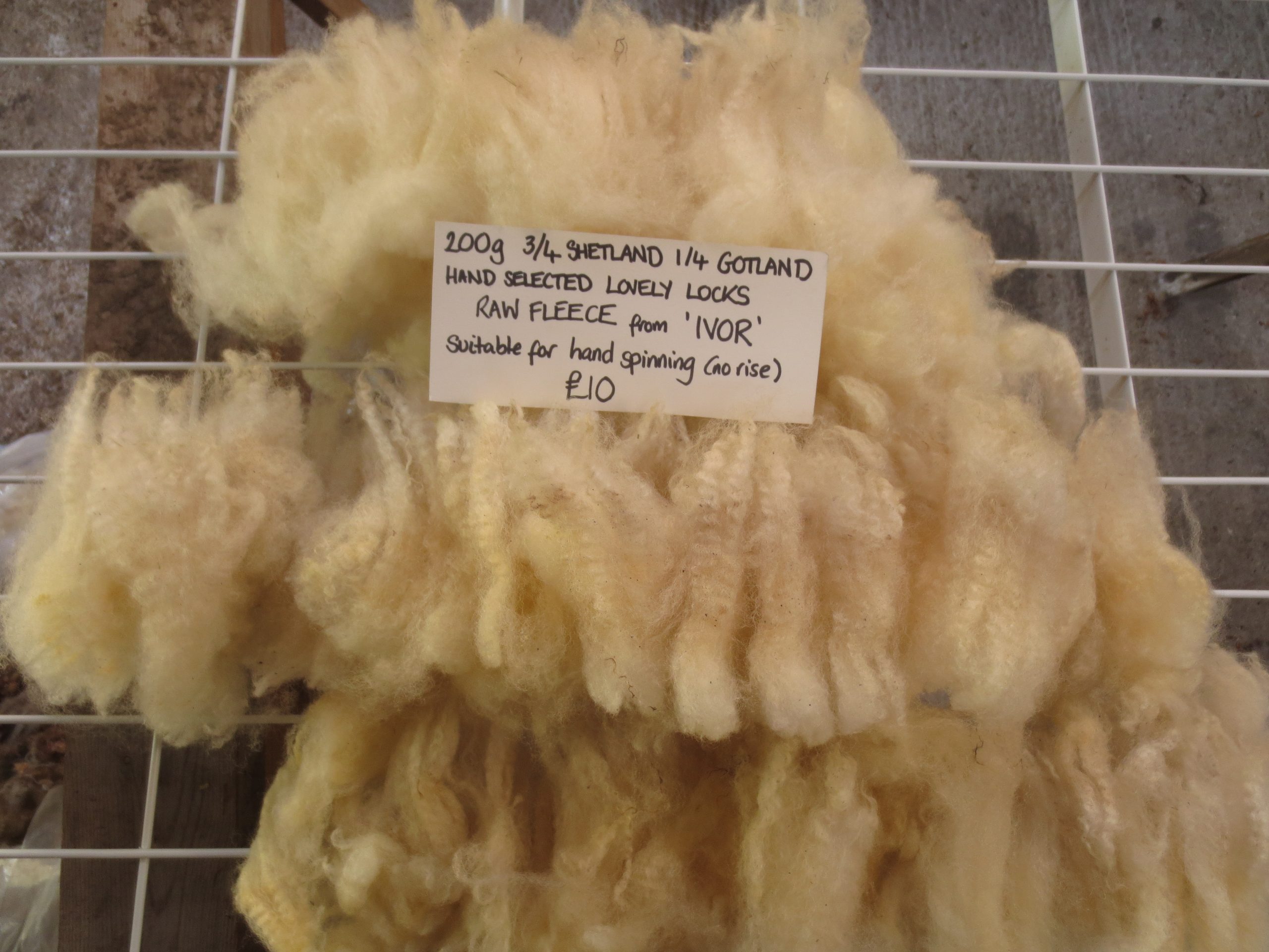 Organic Raw Shetland Fleeces and Shetland x Gotland / Boreray - Image 2