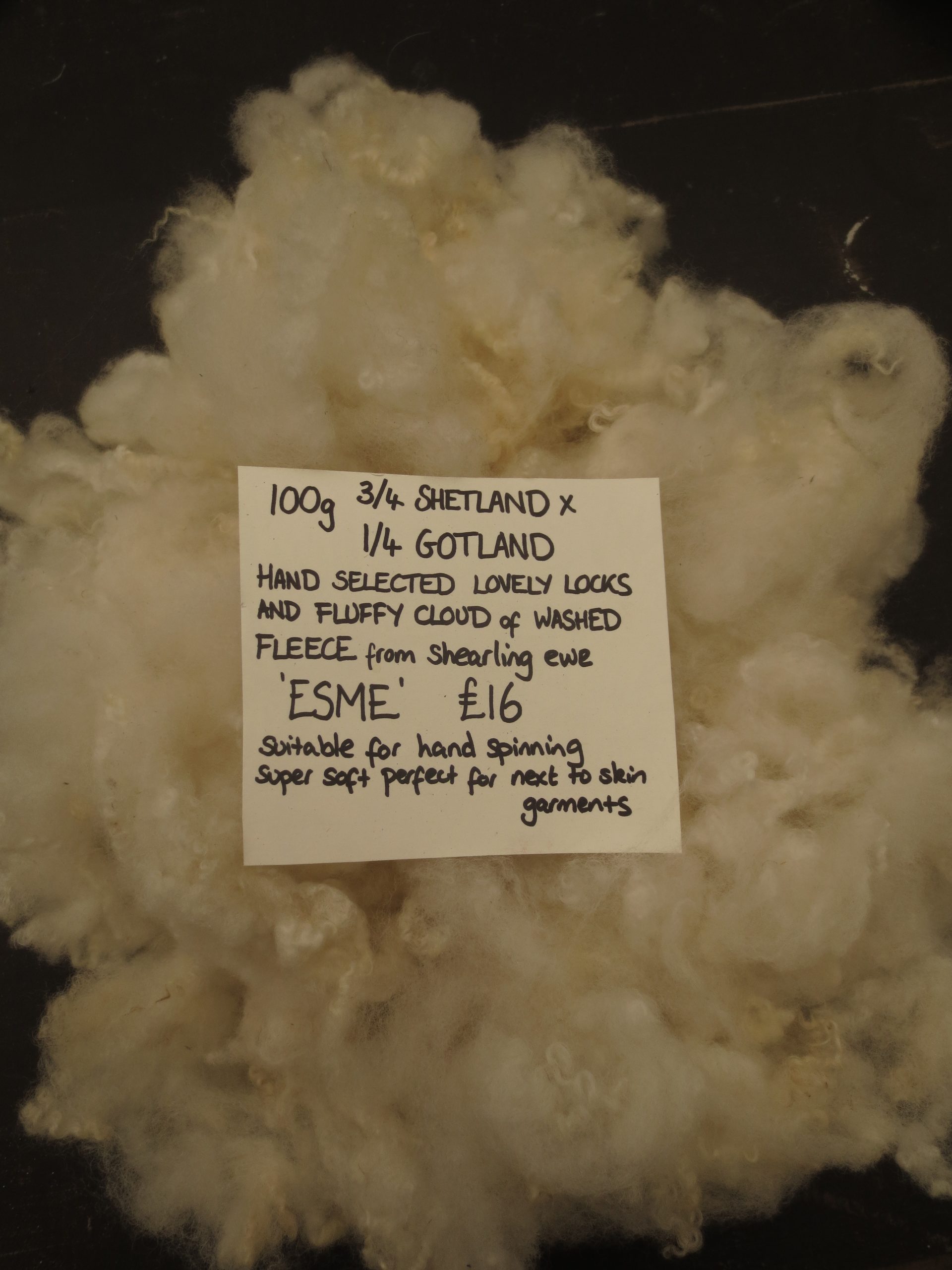 Shetland x Gotland fleece for hand spinners - washed locks - Image 12