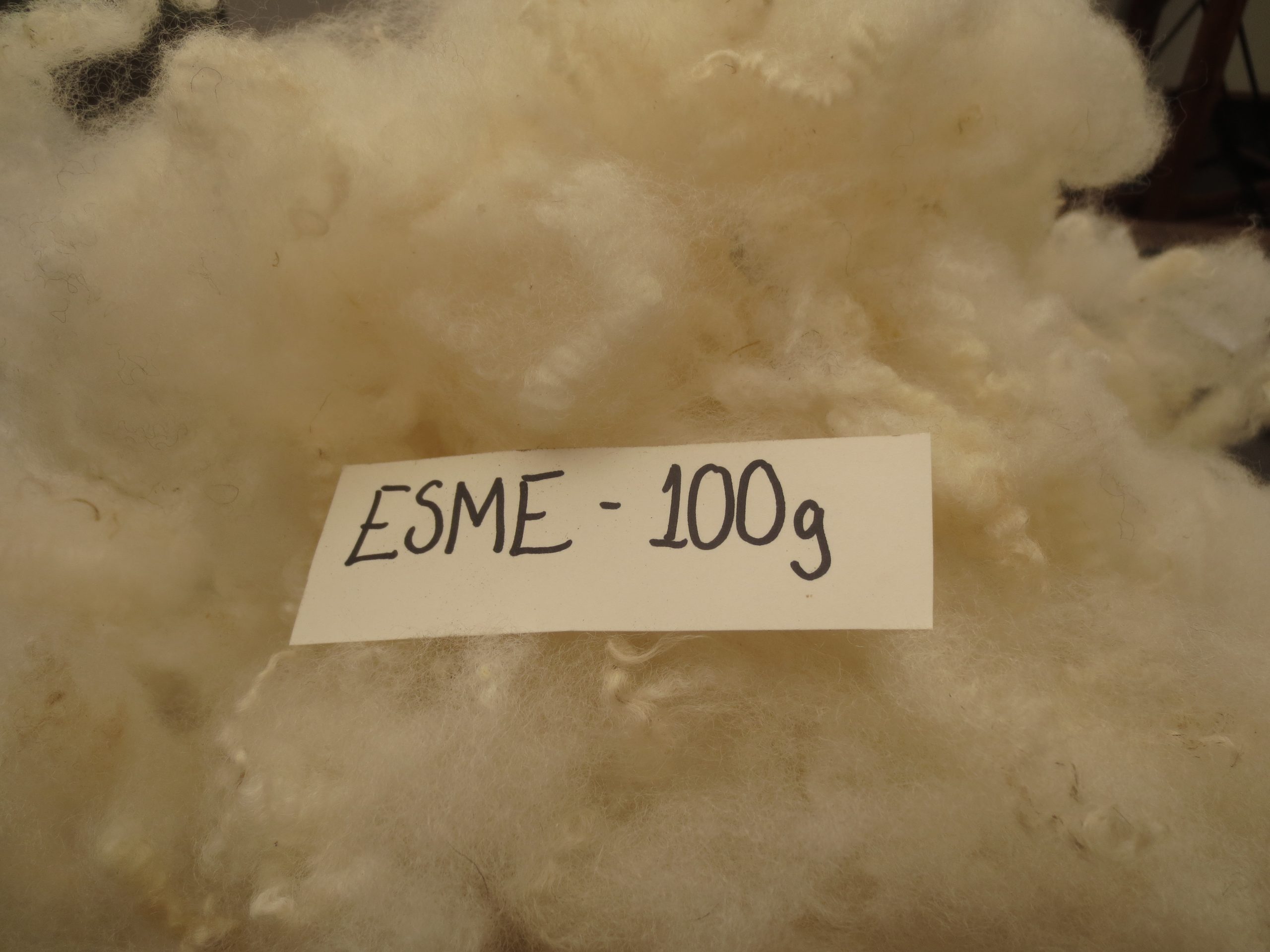 Shetland x Gotland fleece for hand spinners - washed locks - Image 13