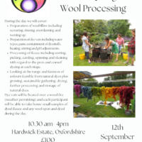 Introduction to Natural Dyeing and Wool Processing Workshop